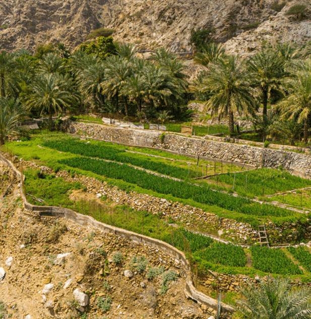 تخييم تحت النجوم - وادي الحلو