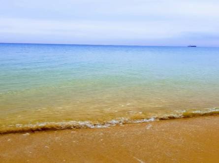 مشي على شاطئ لولوة - Image 3